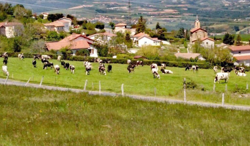 Lâ€™agriculture Ã  Longes